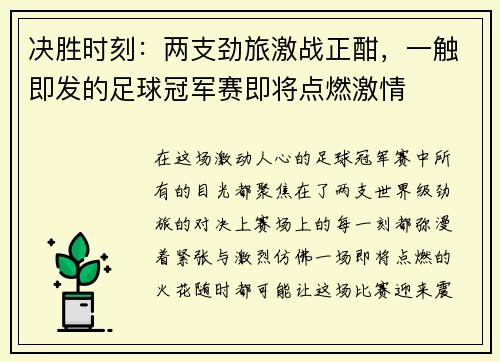 决胜时刻：两支劲旅激战正酣，一触即发的足球冠军赛即将点燃激情
